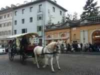 Vedi album 2015 - Gita a Bolzano