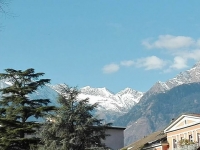 IMG_5355.JPG