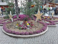 IMG_5360.JPG